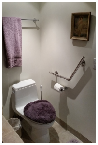 H & H Wedge bar mounted next to toilet